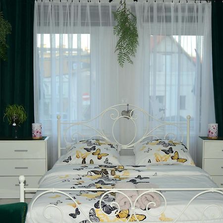 Apartament U Danusi Złoty Stok 外观 照片