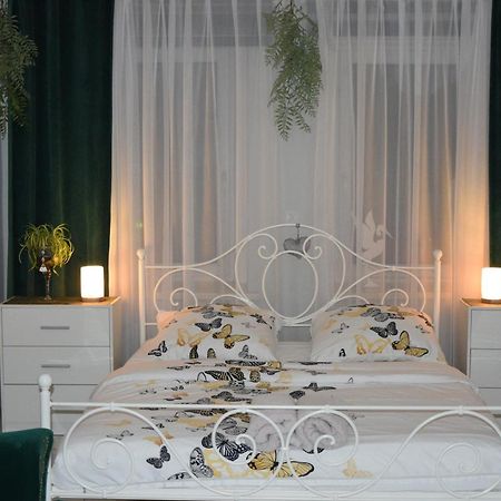 Apartament U Danusi Złoty Stok 外观 照片